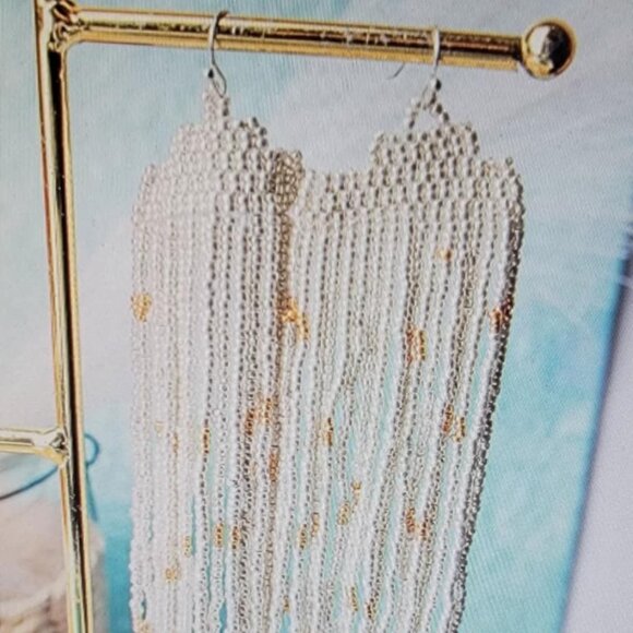 Coyote Court Silver Seed Bead Fringe Earrings - Picture 2 of 3